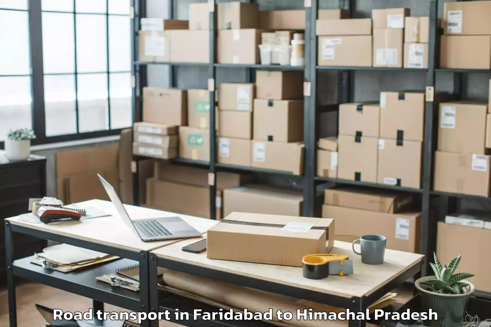 Professional Faridabad to Baddi Road Transport